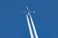 EI-HGN